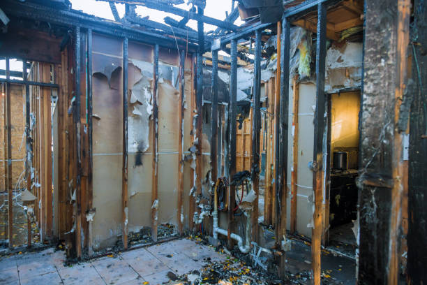 Professional Smoke Damage Removal technician working in Crest, CA